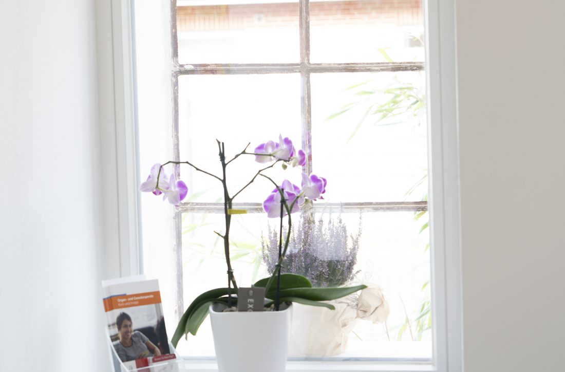 Rundbogenfenster mit Orchidee in der Praxis